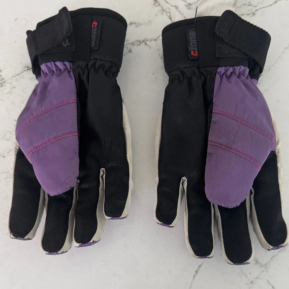 Hestra Ferox Primaloft CZone Black and Purple Gloves